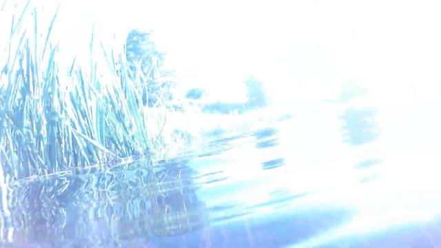 Погружение в кристально чистую реку Мышанка с Виктором Болотаевым смотреть онлайн