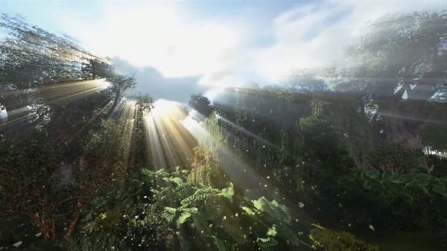 ACHILLEA - AMADAS ESTRELLAS 3A