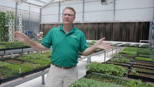 Skip the Seeds and Start with Seedlings | True Garden смотреть онлайн