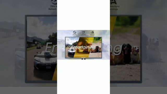Sceptre 24" Professional Thin 75Hz 1080p LED Monitor | Aimwind смотреть онлайн