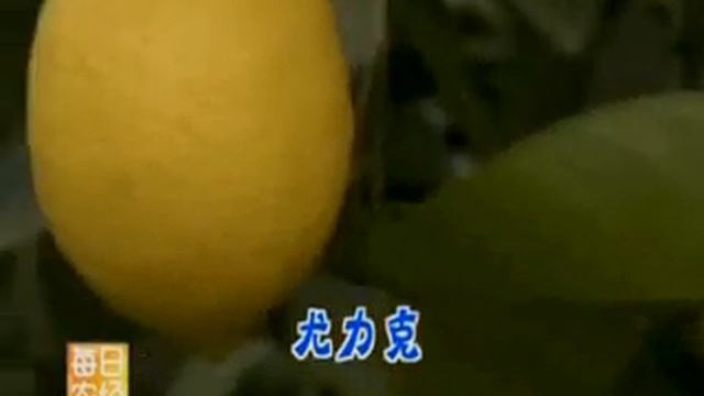 lemon eureka смотреть онлайн