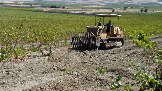 Estirpazione vigneto Ruspa 10 C /da Iureo Mazara del Vallo смотреть онлайн