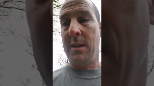 How to Grow Morel Mushrooms at Home, I grew Morel Mushrooms in my yard! смотреть онлайн