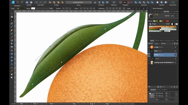 Affinity Designer Tutorial - Illustration process & adding texture - Step by Step смотреть онлайн