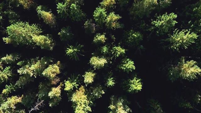 Удивительная природа в 4K - Захватывающая дух планета ЗЕМЛЯ, лучшие кадры видеографов клуба POND5 смотреть онлайн