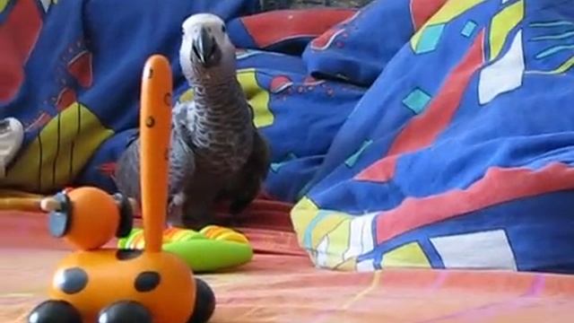 Малышне 2 месяца. Учимся играть в игрушки, гуляем. смотреть онлайн