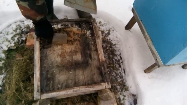 Пасека Лаврова. Начало марта. Очищаем донья от пчелиного подмора. смотреть онлайн