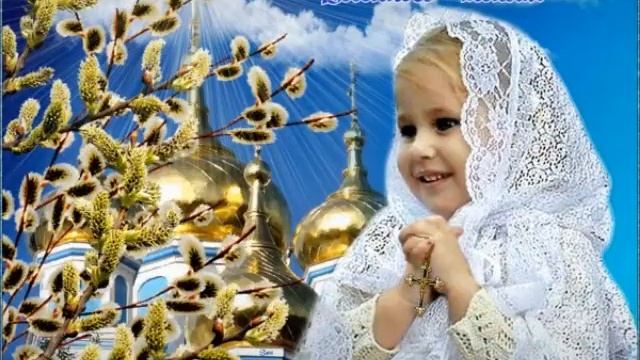 15 июня 2020 г.