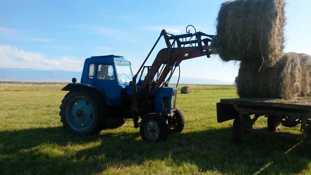 Мтз 80 смотреть онлайн