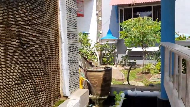 Inspirasi Taman Dari Barang Bekas & Antik di Halaman Rumah dimasa Pandemi | Aquaponik & Kolam Ikan смотреть онлайн