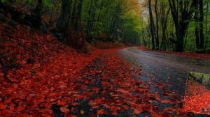 Вальс дождя -  Поль де Сенневиль. (Ф.  Шопен)