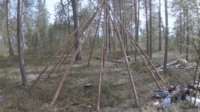 Строительство чума в лесу. Часть1. #чум #строительство_чума смотреть онлайн