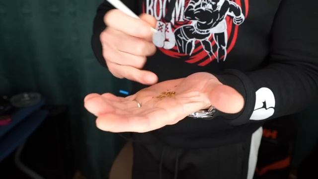 НОВЫЙ КЕНТ С ДВУМЯ КНОПКАМИ! ОБЗОР KENT CRYSTAL MIX