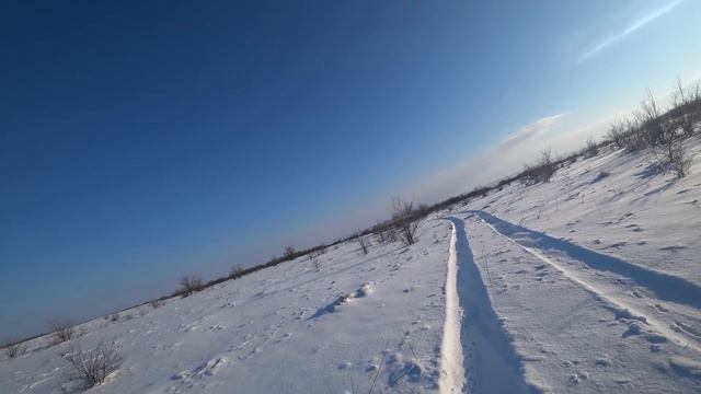 Охота с русскими гончими 2022г 7 смотреть онлайн