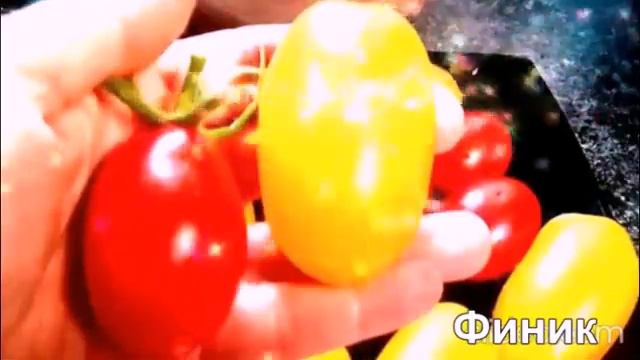 Какой сорт выбрать для консервации? смотреть онлайн