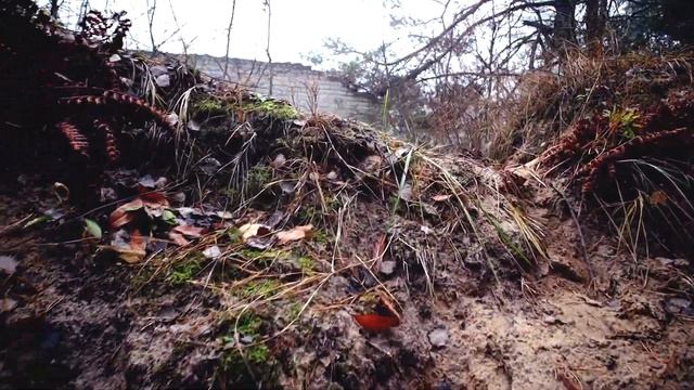 LostBase. Полный обзор полигона. Как доехать! Что внутри! смотреть онлайн