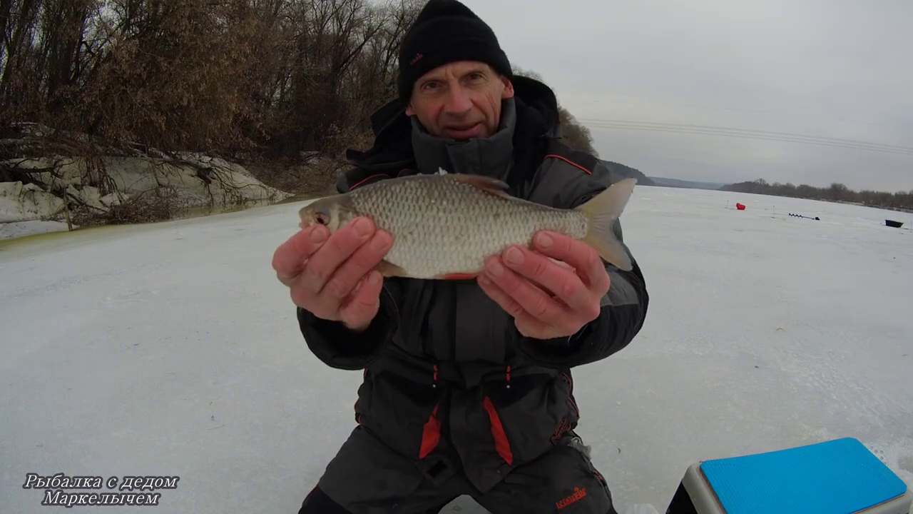 ЛЕСКА ПРУЖИНИТ. ОКСКАЯ ПЛОТВА. смотреть онлайн