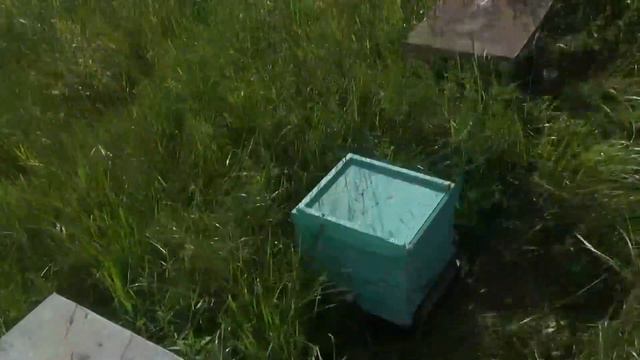 ОСМАТРИВАЕМ ЗАБРОШЕННУЮ ПАСЕКУ МЕСЯЦ СПУСТЯ,ТРУТОВКИ БОЛЬШЕ НЕТ❗❗❗ смотреть онлайн