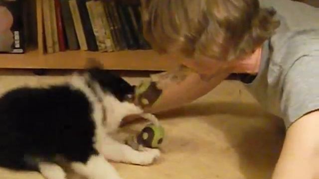 Ingardia Brilliant Blaze 20130207 смотреть онлайн