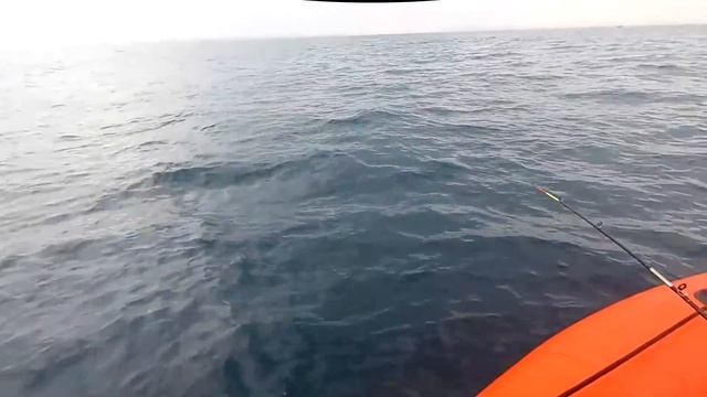 Вторая рыбалка Ивана. Гидра ловит! 23.06.18 смотреть онлайн