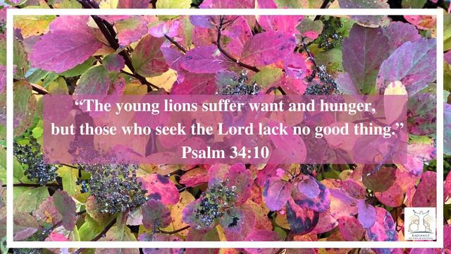 Declaration of the Word of God | 2nd July 2023 | Psalm 34:10 смотреть онлайн