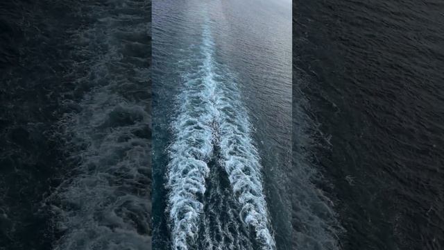 Меня попросили снять такое видео тем кто не верит в круизы, И я уже не знал как доказать... смотреть онлайн
