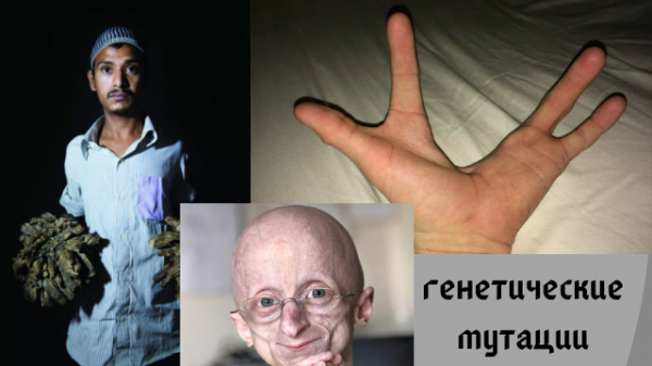 Генетические мутации