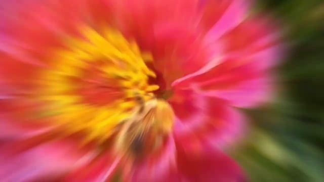 Доброго Утра!Отличного дня!Пусть Удача сопровождает Тебя! смотреть онлайн