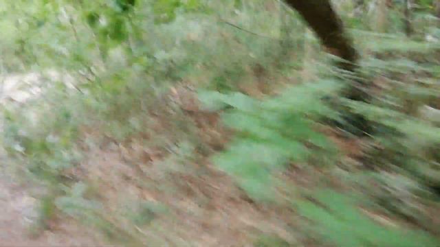 ЧЕРНОРЕЧЕНСКИЙ КАНЬОН 2019. СЕВАСТОПОЛЬ. КРЫМ смотреть онлайн