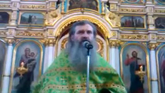 Проповедь протоиерея Игоря Латушко о Святом Духе в Свято-Духовом кафедральном соборе (09.06.2014) смотреть онлайн