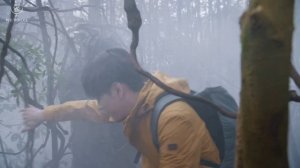 Навстречу опасности 1 сезон 21 серия