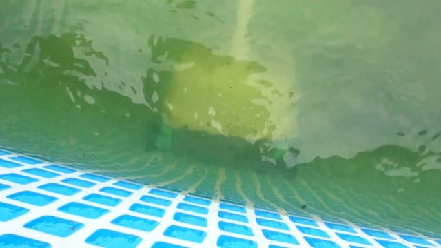 Напускаем воду. Запуск системы в 7-ми метровом Бассейне Intex. Новый Робот-пылесос в действии. смотреть онлайн