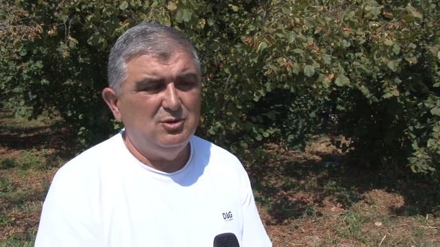 Plantaža Lešnika U Grušiću