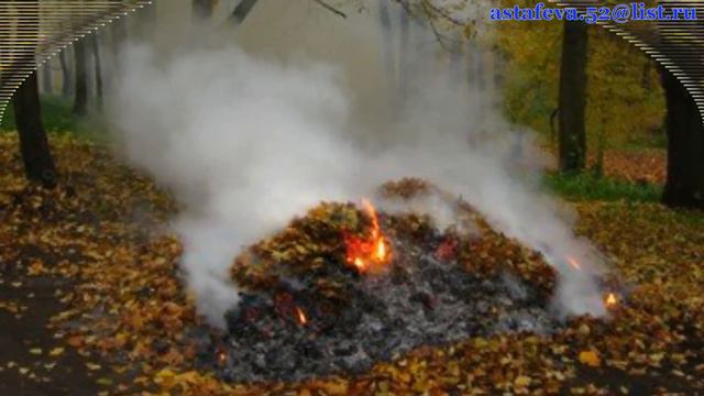 Осенний багульник-исп.Любовь Белогорцева ( муз. Б. Емельянова, сл.А. Поперечного) смотреть онлайн