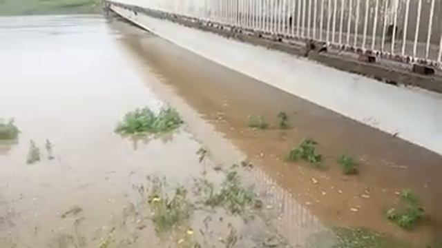 Сергиевское ставропольский край Калаус смотреть онлайн