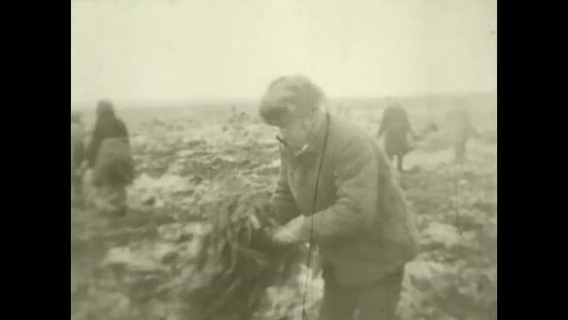 Кинохроника 70-х. "На свекле" смотреть онлайн