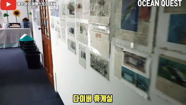 브루나이 스쿠버다이빙 OCEANIC QUEST 난파선 다이빙의 천국 смотреть онлайн