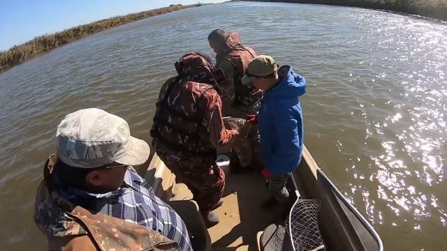 РЫБАЛКА В АСТРАХАНИ!!! / Ловля ТРОФЕЙНЫХ САЗАНОВ! / Мечта сбылась!!! смотреть онлайн