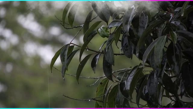 Смысловой перевод суры Аль Фатиха Эльмира Кулиева смотреть онлайн