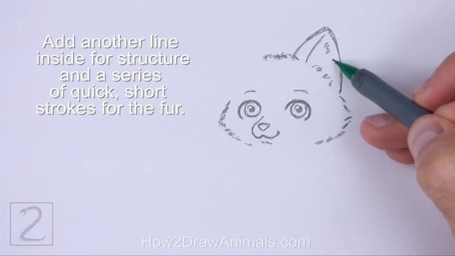 How to Draw a Fox (Cartoon) смотреть онлайн