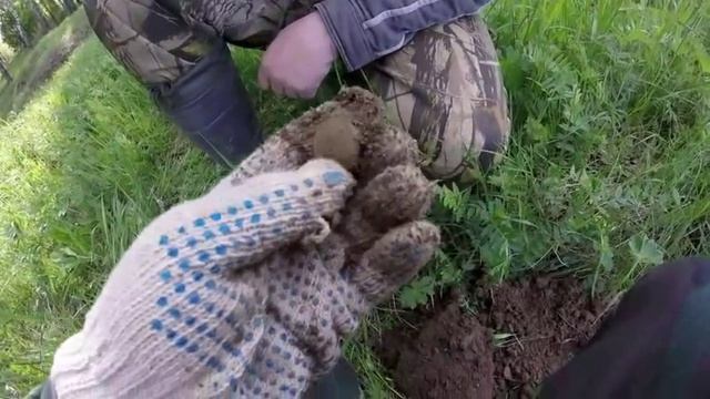 Трёхдневный коп на старом месте. Копательские будни! смотреть онлайн