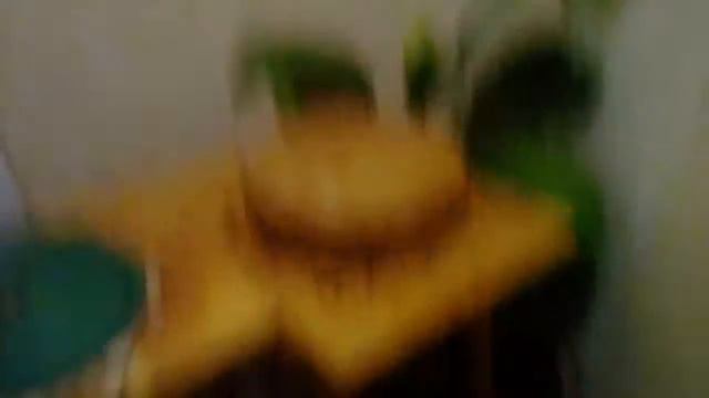 Часть 2 пекем рыжик.ждем бабушку и дедушку. смотреть онлайн