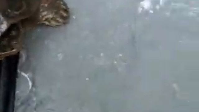 Кастильские горы. смотреть онлайн