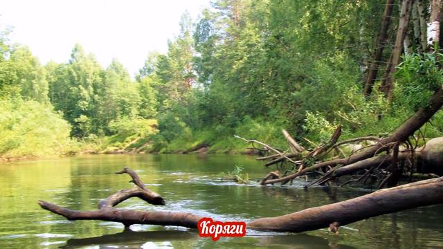 ВСТРЕЧИ с ИНТЕРЕСНЫМ ОКРУЖАЮЩИЙ МИР смотреть онлайн