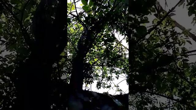 ???ВС РФ беспрерывно работают по скоплению живой силы укронацистов в режиме нон-стоп❗️ смотреть онлайн