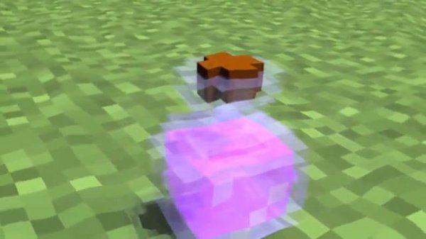 Minecraft Water Bottle Flip İntro