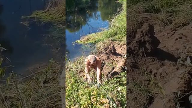 Бухая деревня? смотреть онлайн