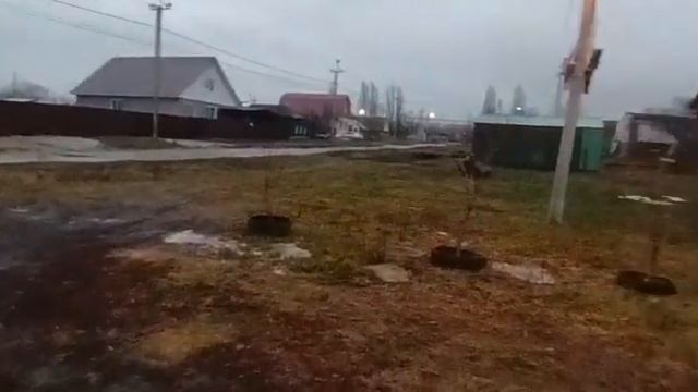 4 WD 2023 01 03 Балашов смотреть онлайн