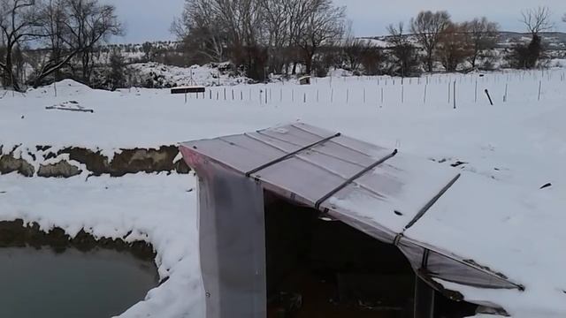 домик бомжика лебедю понравился, питомник роз полины козловой rozarium.biz смотреть онлайн