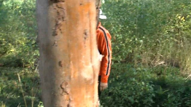 В лес на Дастере.Море брусники, и немножко рыбалки. смотреть онлайн